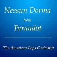 Nessun Dorma from Turandot (Instrumental) [Live]